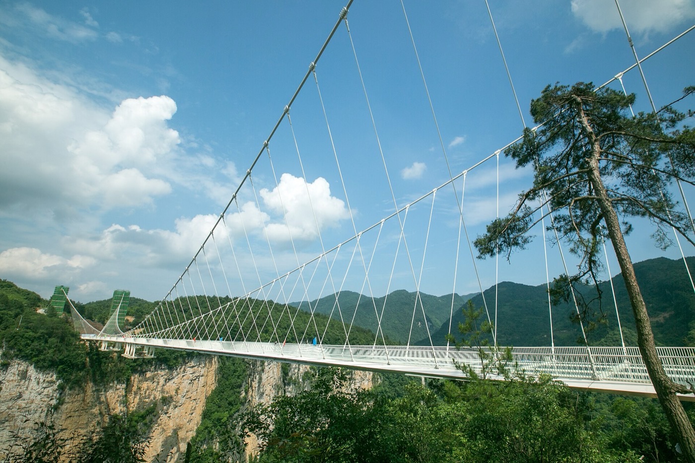 The Zhangjiajie Grand Canyon glass-bottomed suspension bridge spanning the canyon under a blue sky