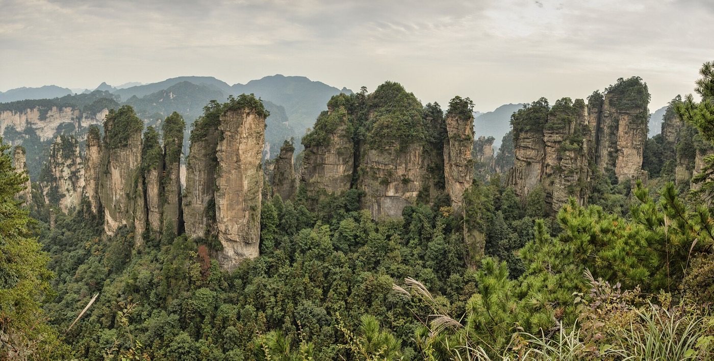 Panorama of quartzite sandstone pillars seen from the Huangshizhai viewpoint in Zhangjiajie